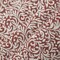 Ruby Elise - Red & Burgundy Leaves,Small Scale Upholstery Fabric 54 Inches"